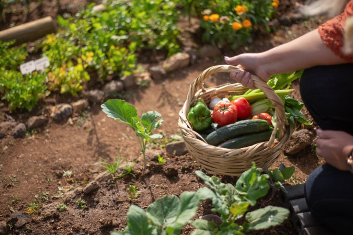 Gardening for Everyone
